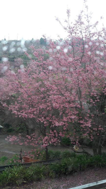 Qing Jing Xiao Taiyang Jingguan Homestay Renai Buitenkant foto